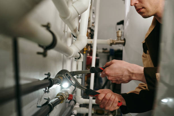 Best Emergency Plumber  in Lovelock, NV