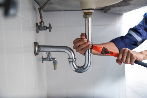 Best Same-Day Plumbing Service  in Lovelock, NV